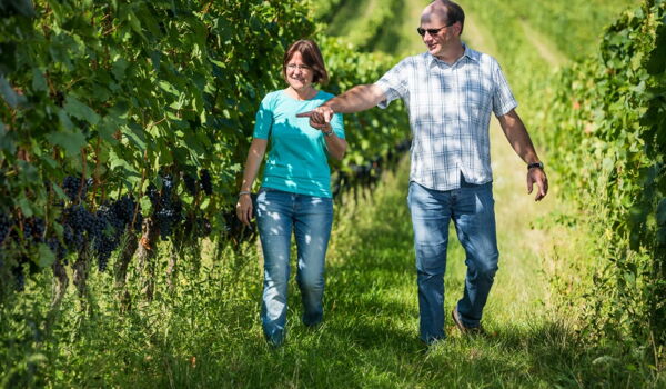 Winzer und Frau spazieren im Weingarten