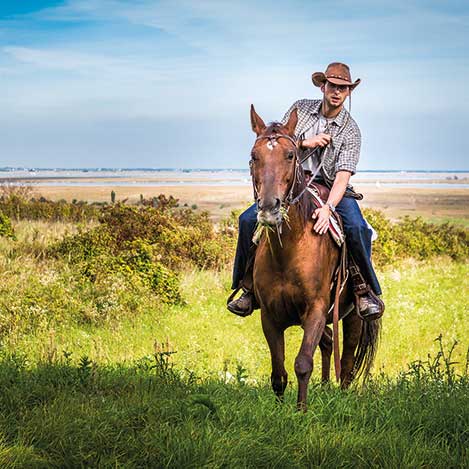 Mann reitet auf Pferd in den Mörbischer Weinrieden