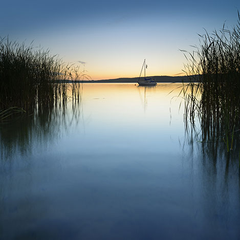 Segelboot am Neusiedler See mit Schilf