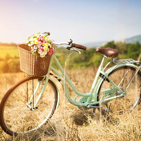 Fahrrad mit Korb und Blumen