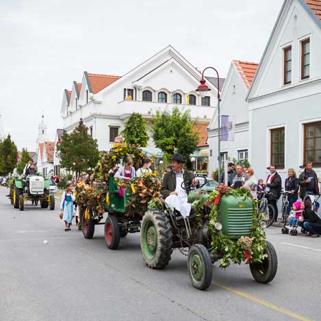 geschmückter Traktor zum Weinlesefest