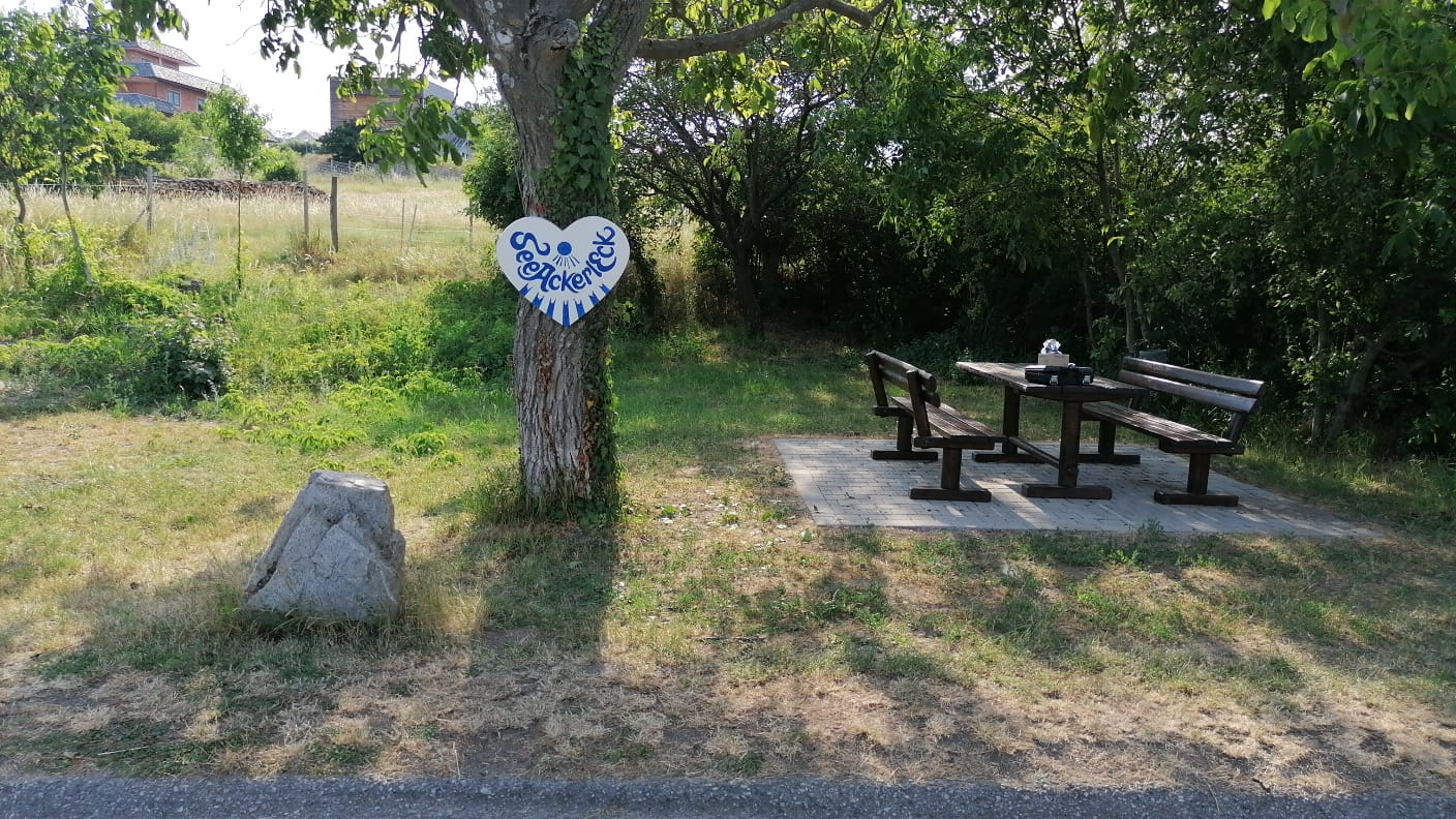 Sitzmöglichkeiten im Grünen