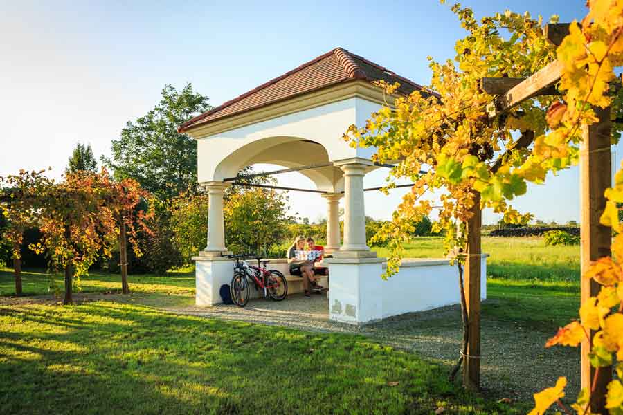 Weindenkmal, Radfahrer, Weinreben, Laubblätter